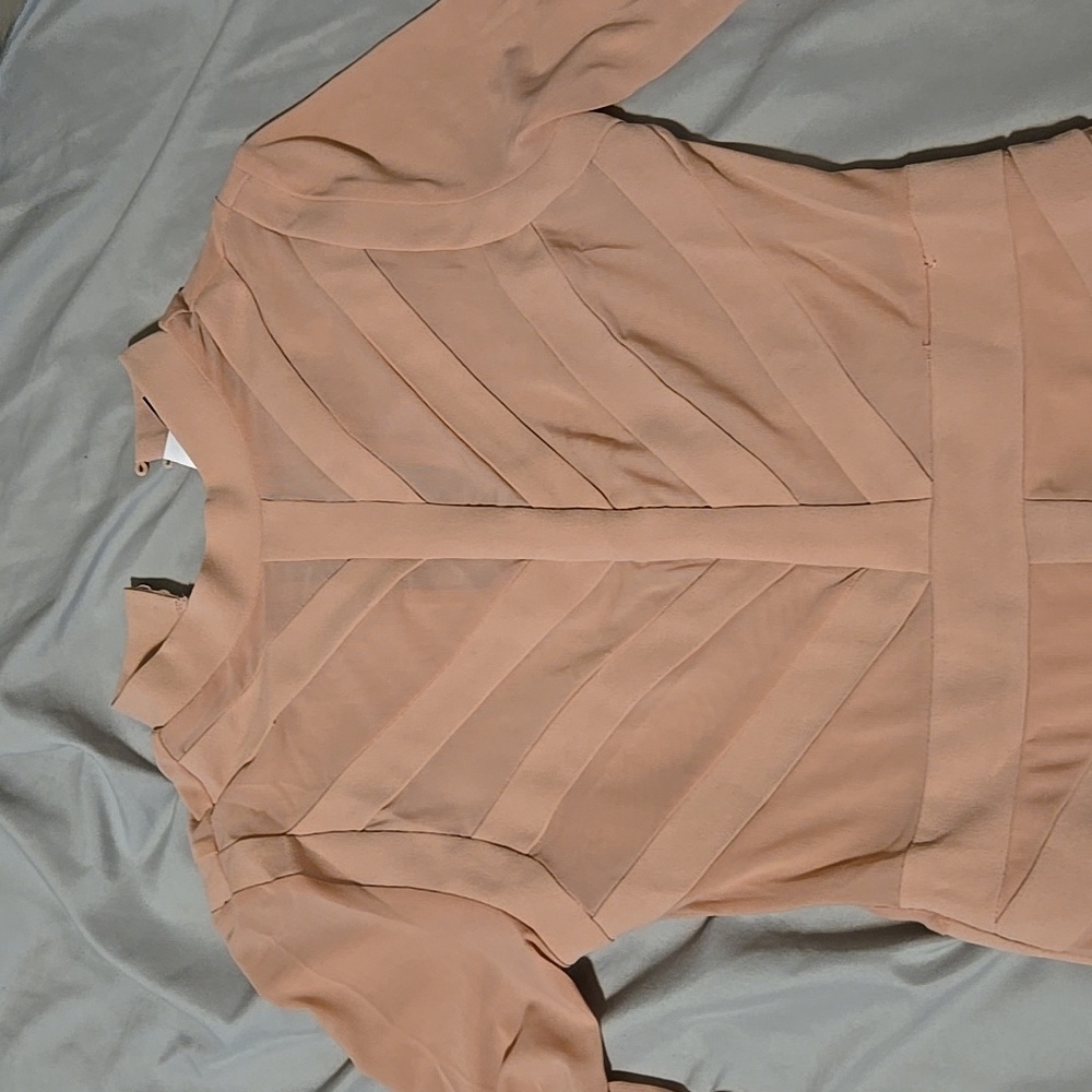 Long sleeve mesh dress